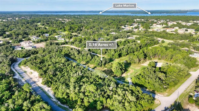 1269 Baltic Dr, Kissimmee, FL 34759 - photo 27