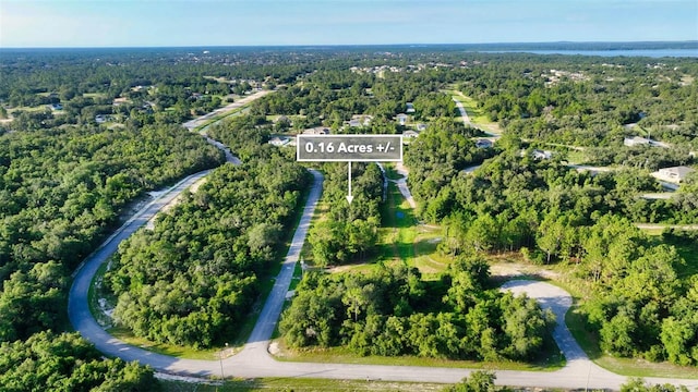 1269 Baltic Dr, Kissimmee, FL 34759 - photo 28