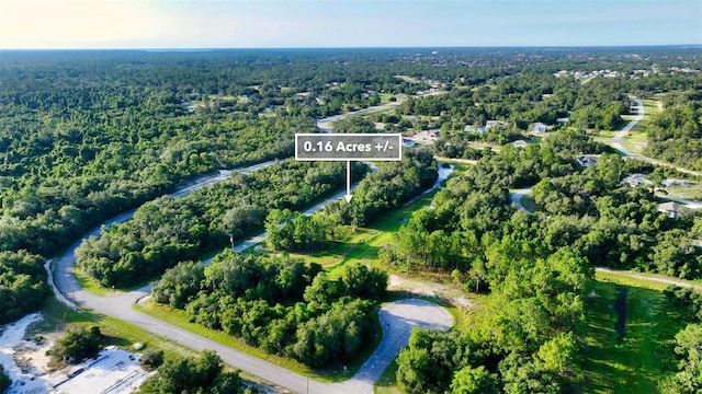 1269 Baltic Dr, Kissimmee, FL 34759 - photo 29