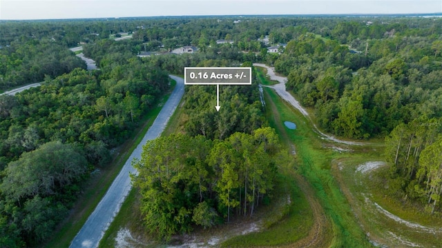 1269 Baltic Dr, Kissimmee, FL 34759 - photo 30