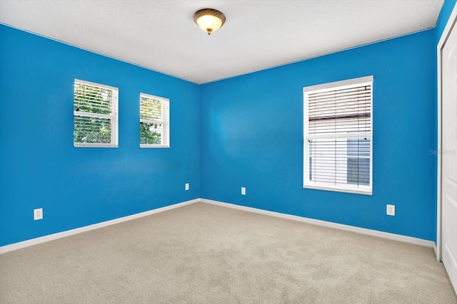 spare room with carpet floors