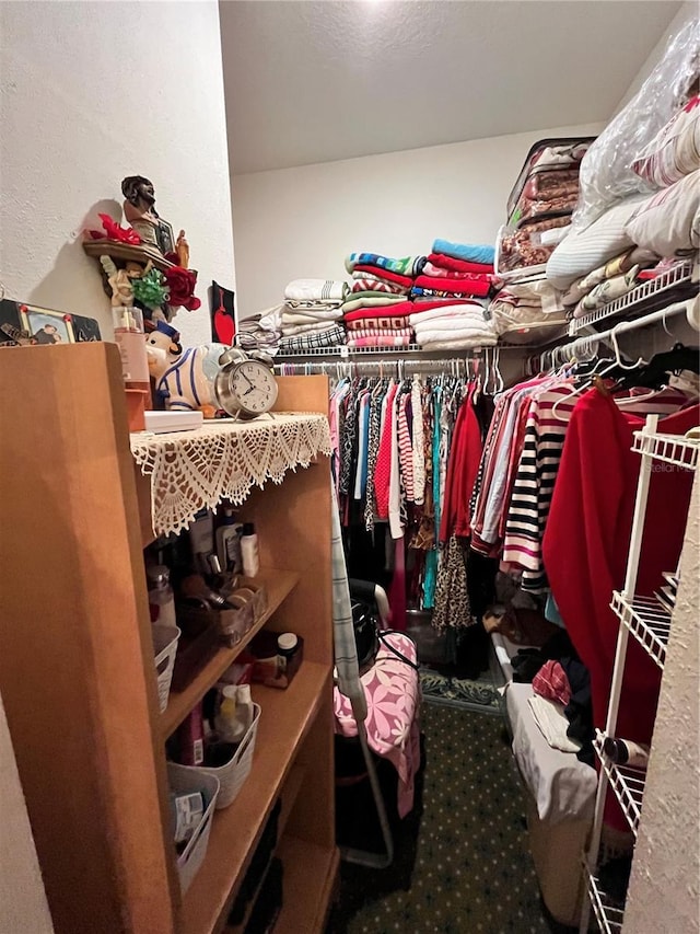 35226 Janine Dr, Zephyrhills, FL 33541 - walk in closet with carpet