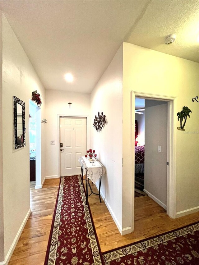 35226 Janine Dr, Zephyrhills, FL 33541 - corridor with light wood-type flooring and baseboards