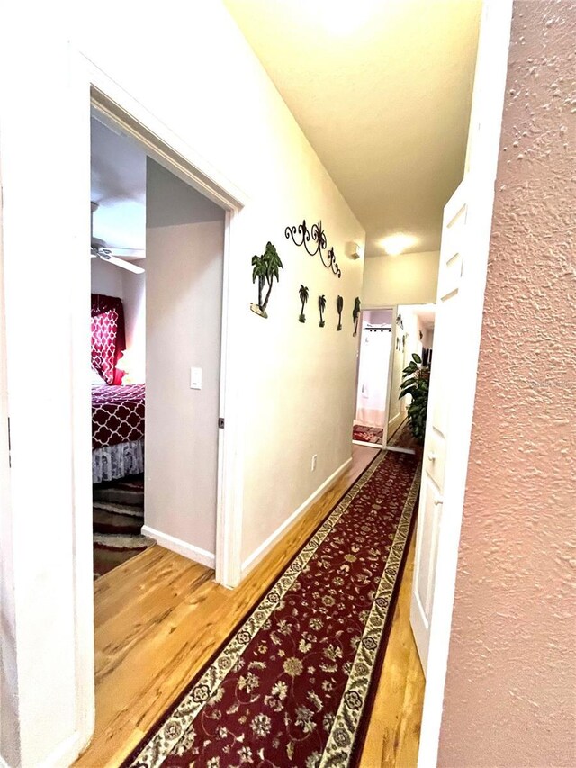 35226 Janine Dr, Zephyrhills, FL 33541 - hall with wood finished floors and a textured wall