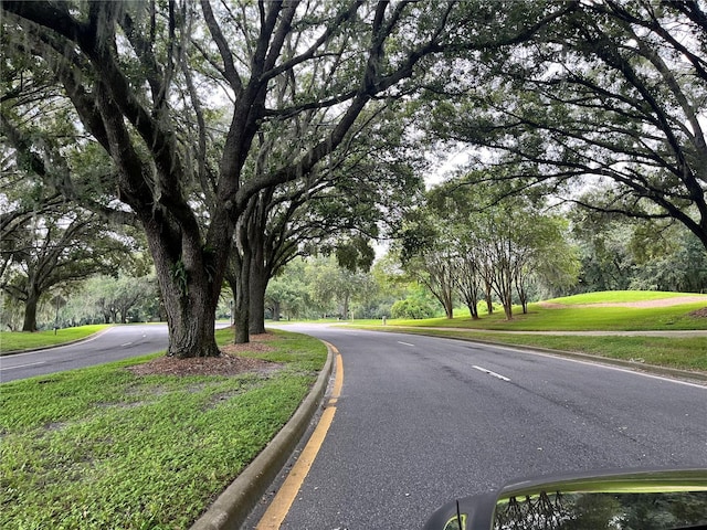 35226 Janine Dr, Zephyrhills, FL 33541 - view of asphalt street featuring curbs and view of scattered trees