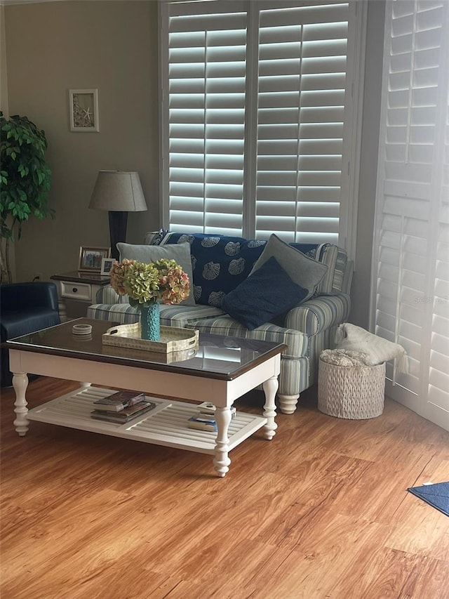 living room featuring light hardwood / wood-style floors