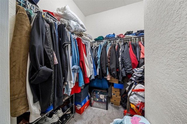 spacious closet featuring carpet flooring