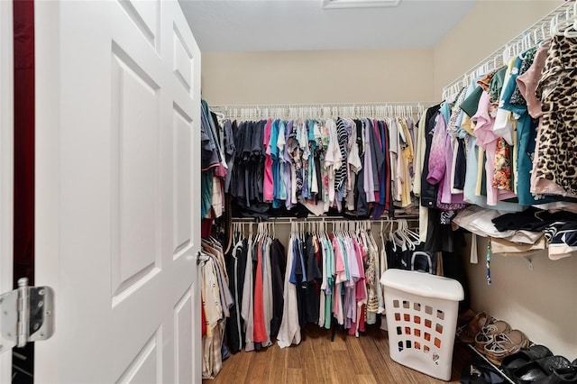 spacious closet with hardwood / wood-style flooring