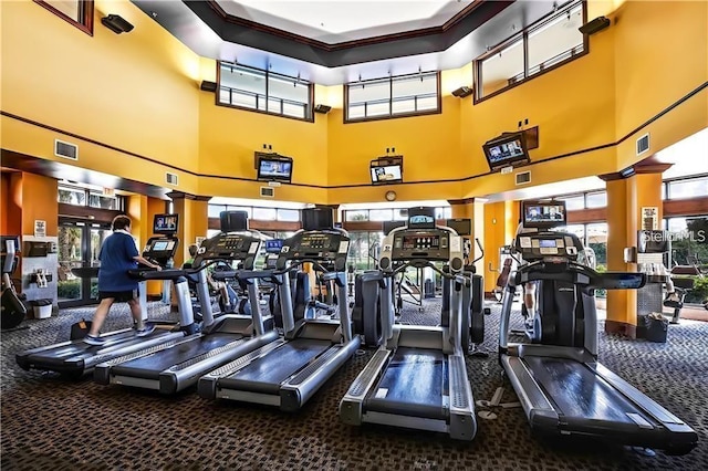 exercise room with carpet flooring, crown molding, a healthy amount of sunlight, and a high ceiling