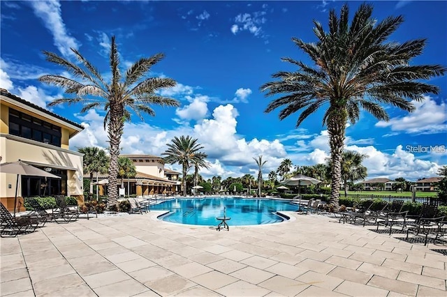 view of pool featuring a patio area