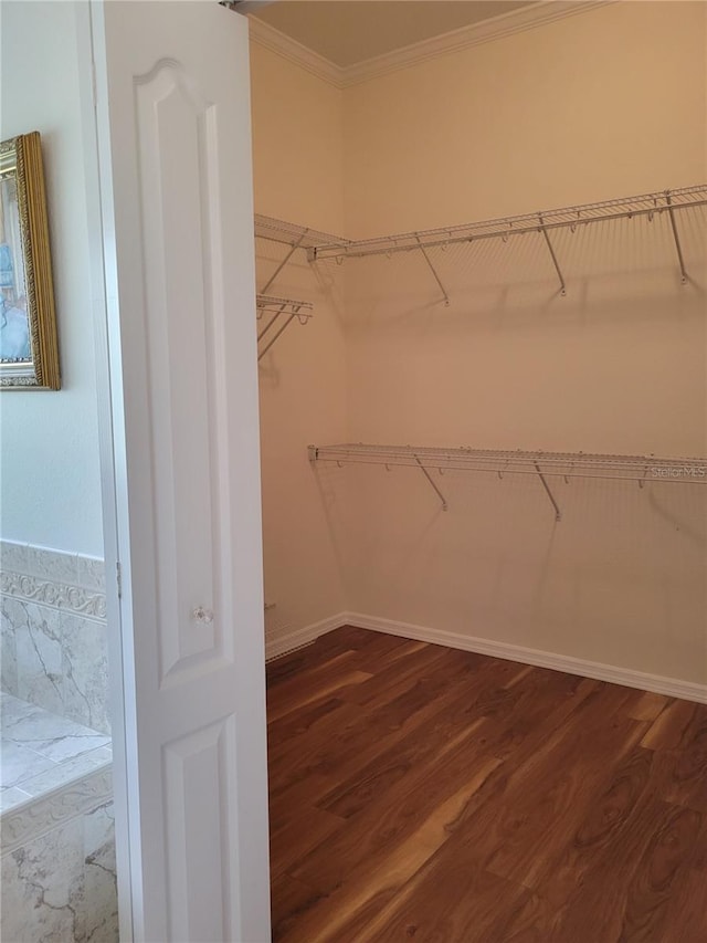 spacious closet with hardwood / wood-style floors