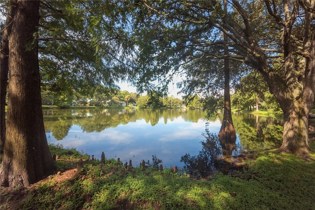 5530 N 9th St Unit 5, Tampa, FL 33604 - water view featuring a heavily wooded area