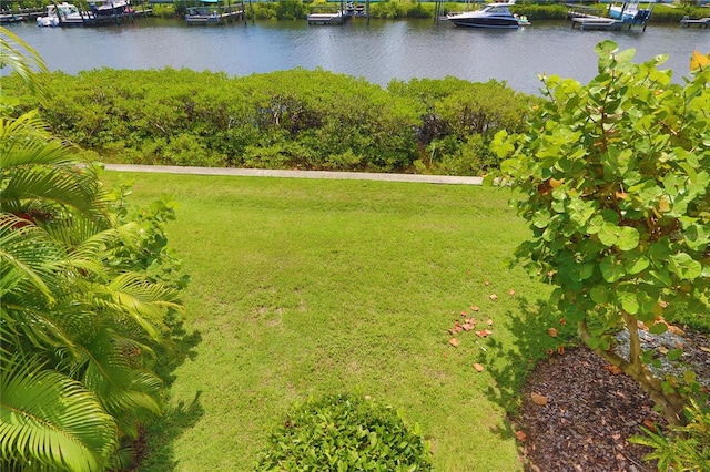 view of yard with a water view