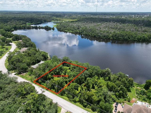 12915 Shadow Run Blvd, Riverview FL, 33569 land for sale