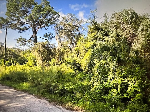 LOTS45-46 Adler St, New Port Richey FL, 34654 land for sale