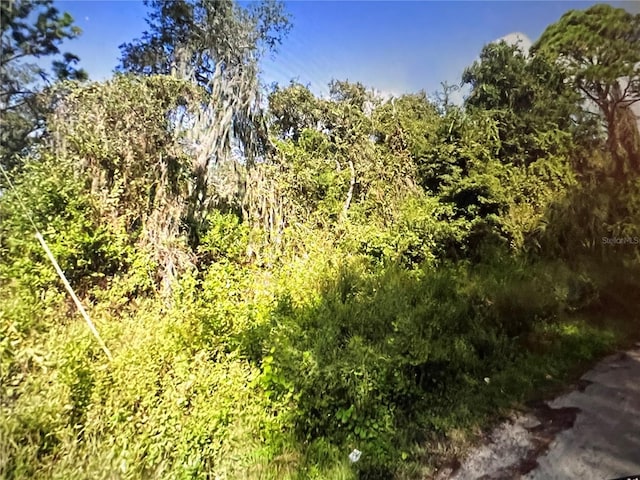 Listing photo 2 for LOTS45-46 Adler St, New Port Richey FL 34654