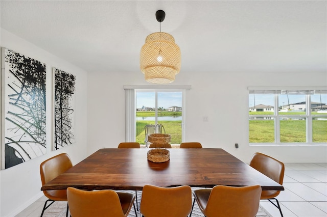 dining area featuring plenty of natural light and a water view