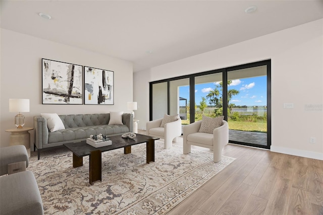 living room featuring light hardwood / wood-style floors