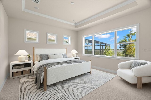 bedroom with carpet and a tray ceiling