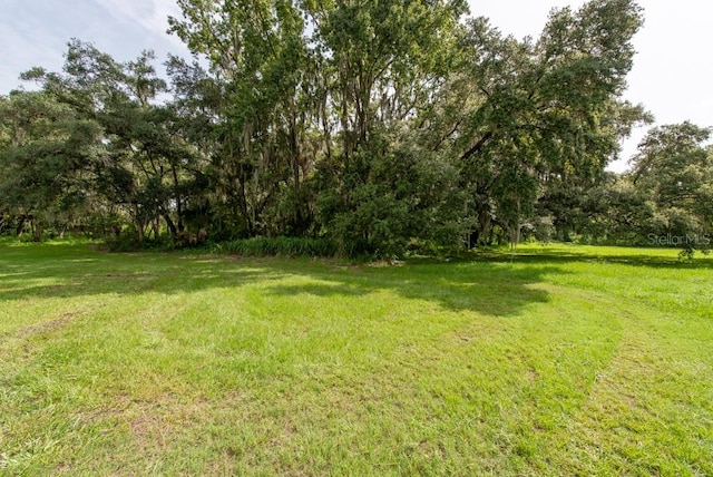 Listing photo 2 for E Cherry St, Plant City FL 33563