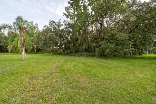 E Cherry St, Plant City FL, 33563 land for sale