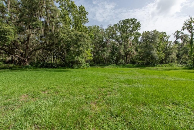 Listing photo 3 for E Cherry St, Plant City FL 33563