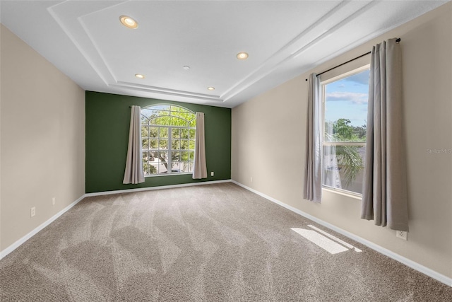 carpeted spare room featuring a healthy amount of sunlight, a raised ceiling, and baseboards