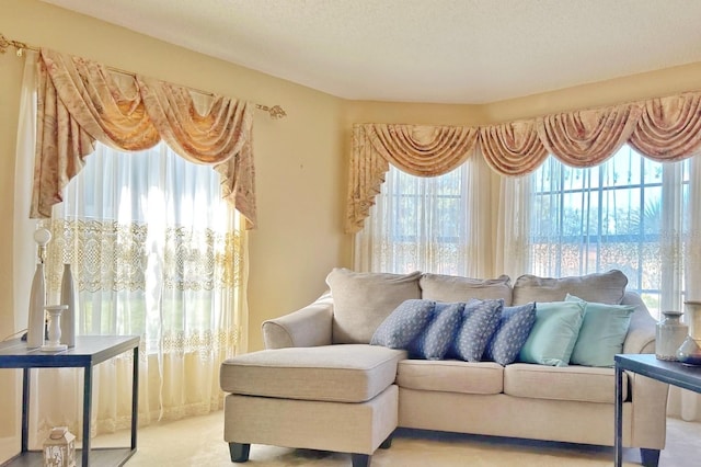11416 Billingham Blvd, Spring Hill, FL 34609 - living area with carpet