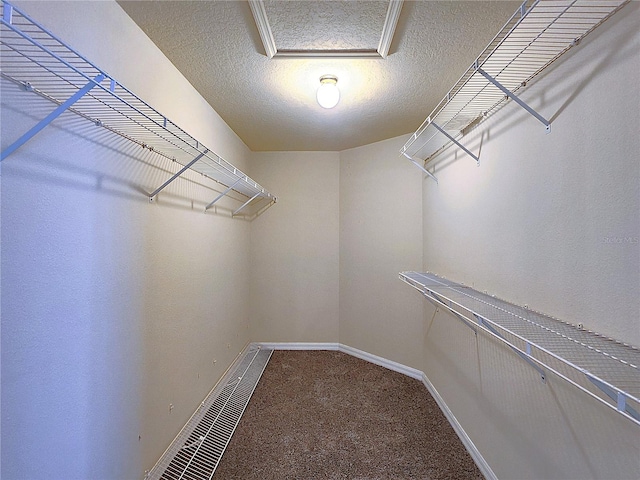 walk in closet with carpet