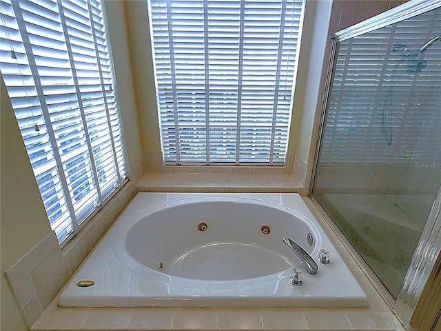 bathroom with a bathing tub