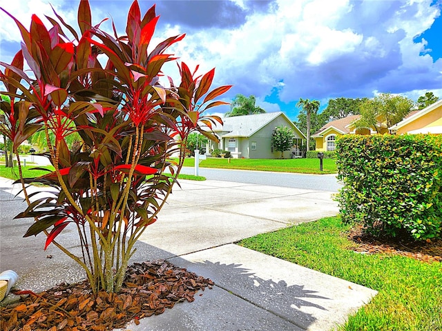 exterior space featuring driveway