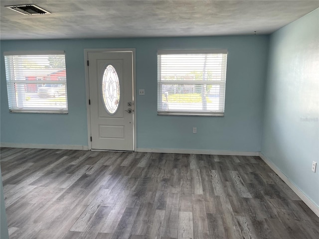 entryway featuring a wealth of natural light and wood-type flooring