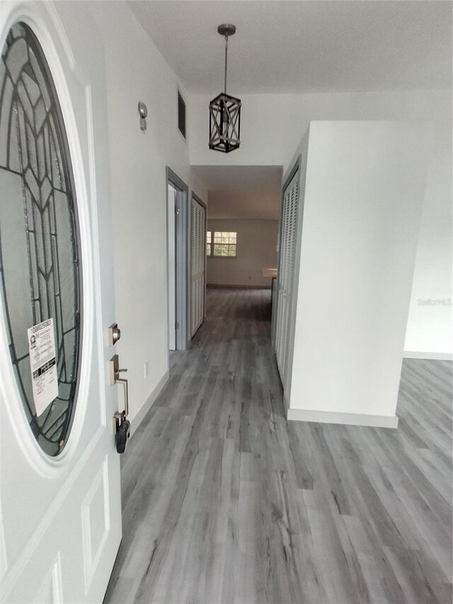 interior space featuring wood-type flooring