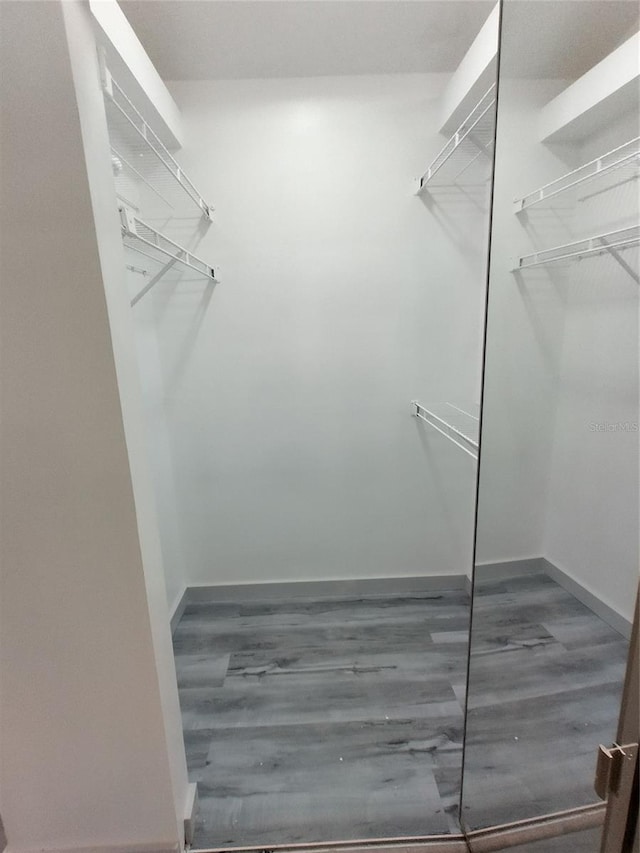 walk in closet featuring dark hardwood / wood-style floors