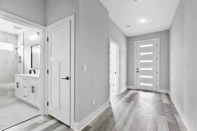 entrance foyer with sink, a healthy amount of sunlight, and light wood-type flooring