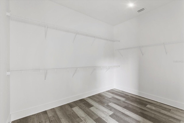 spacious closet featuring wood-type flooring