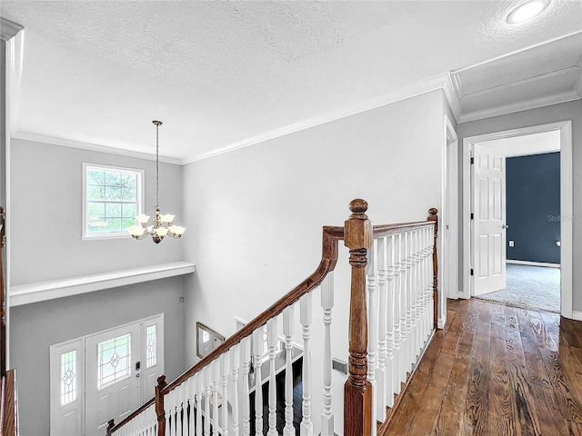 hallway with dark hardwood / wood-style flooring, ornamental molding, a notable chandelier, and a textured ceiling