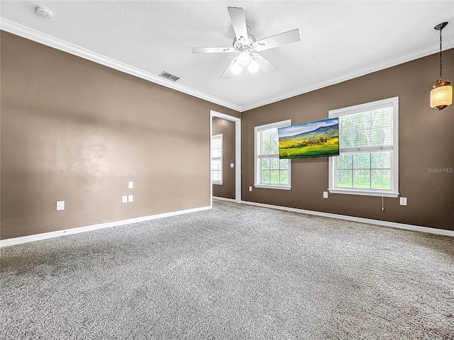 carpeted empty room featuring crown molding, ceiling fan, and a textured ceiling