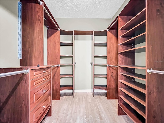 walk in closet featuring light wood-type flooring