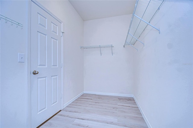 spacious closet featuring light wood-type flooring