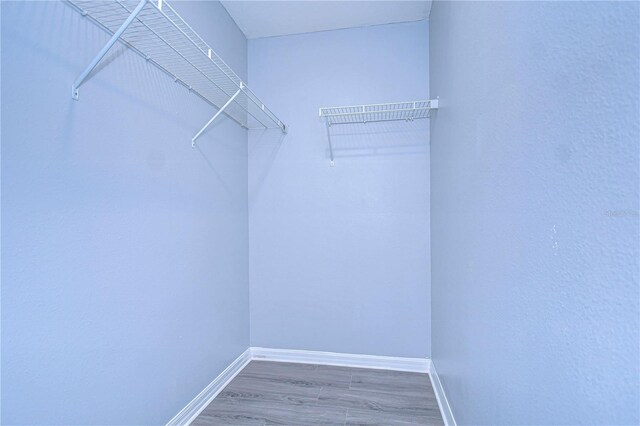 spacious closet featuring dark wood-style flooring