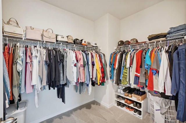 walk in closet featuring carpet flooring