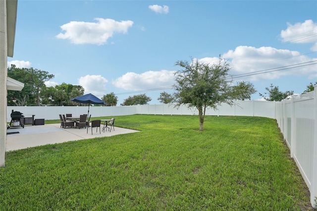 view of yard featuring a patio