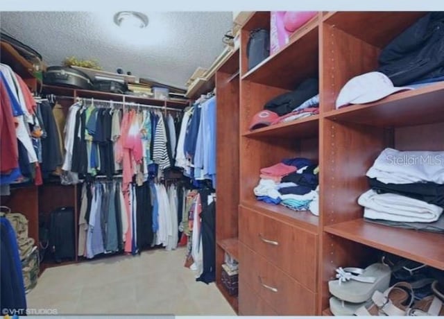 view of spacious closet