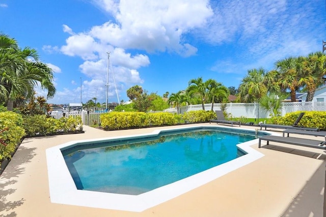 view of swimming pool featuring a patio area