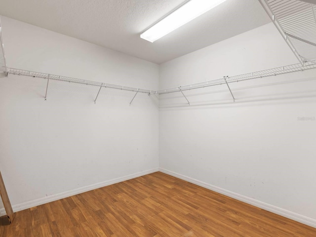 spacious closet with hardwood / wood-style flooring