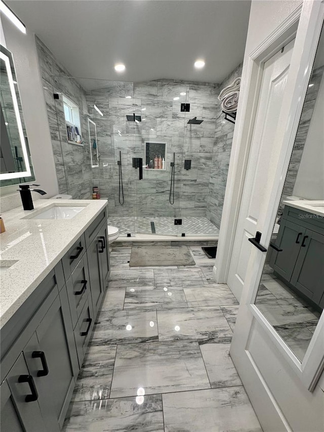 bathroom with vanity, a shower with shower door, and toilet