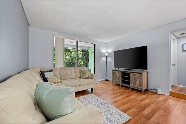 living room featuring hardwood / wood-style floors and a textured ceiling