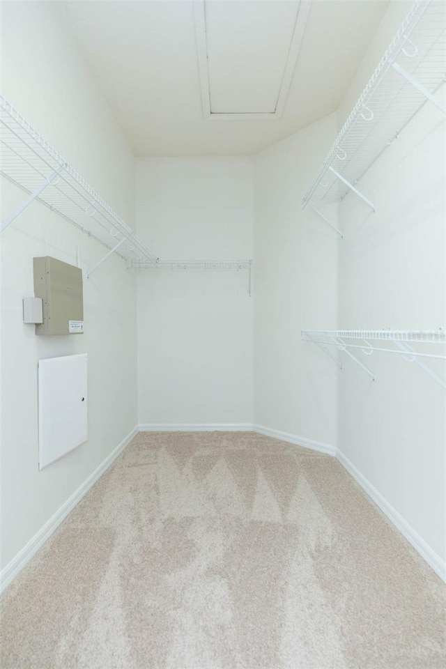 spacious closet with carpet