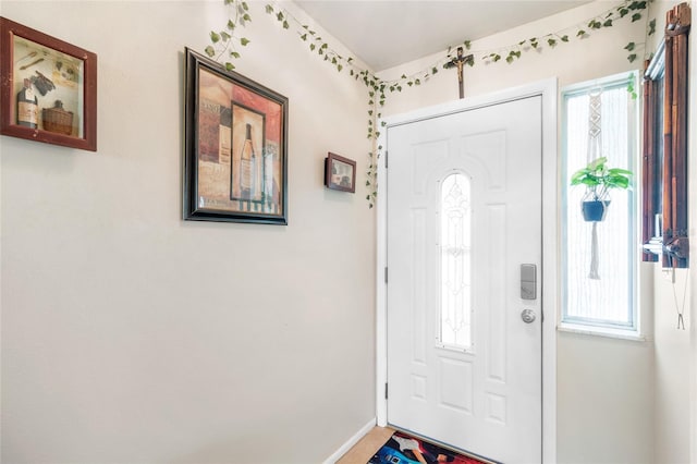 entrance foyer featuring a healthy amount of sunlight